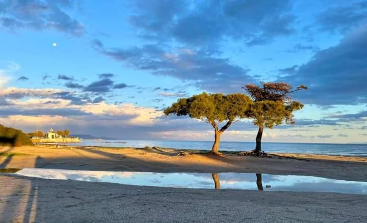Άνετο Διαμέρισμα アルテミダ エクステリア 写真